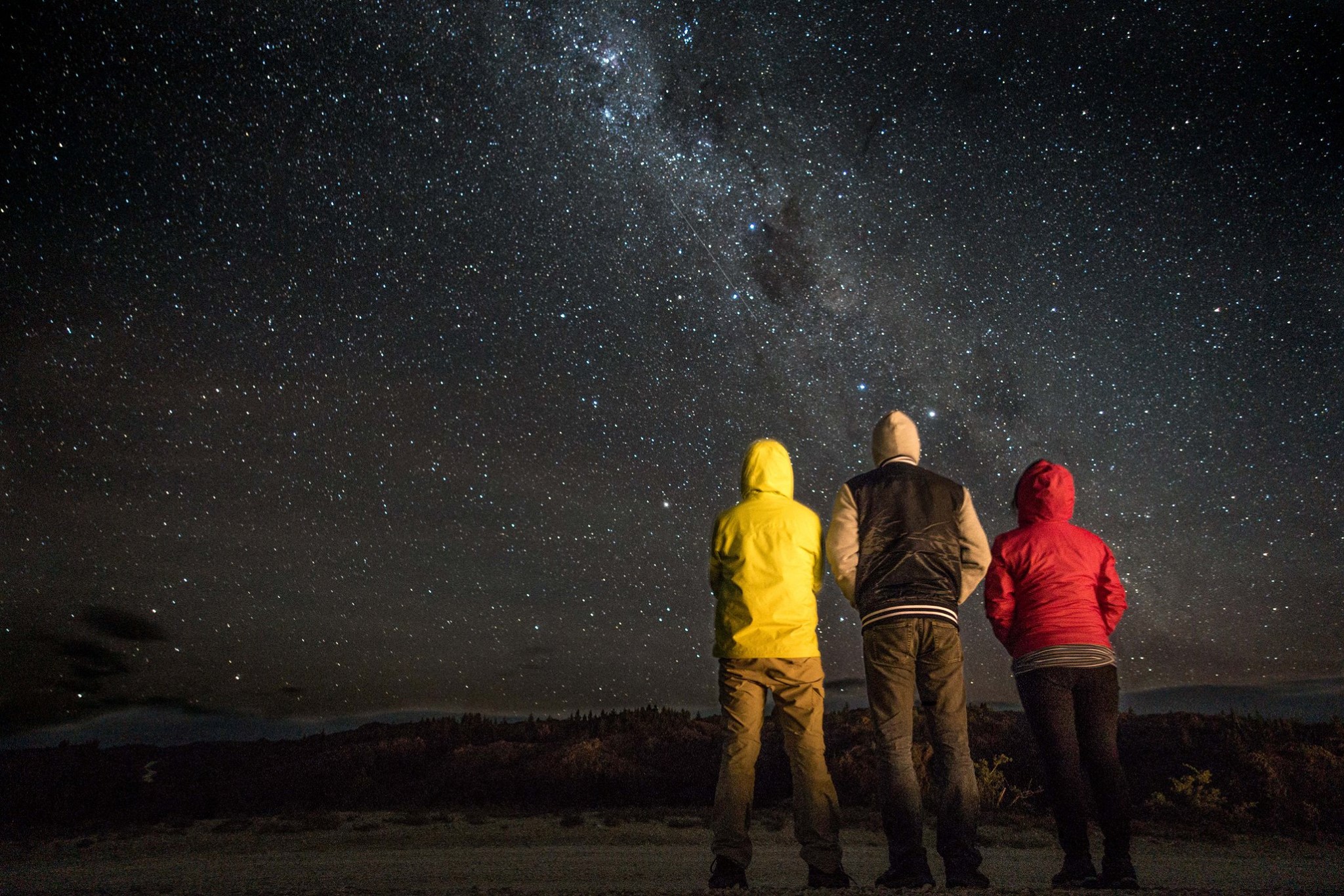 12339481 10208336097705183 5309158775943085407 O