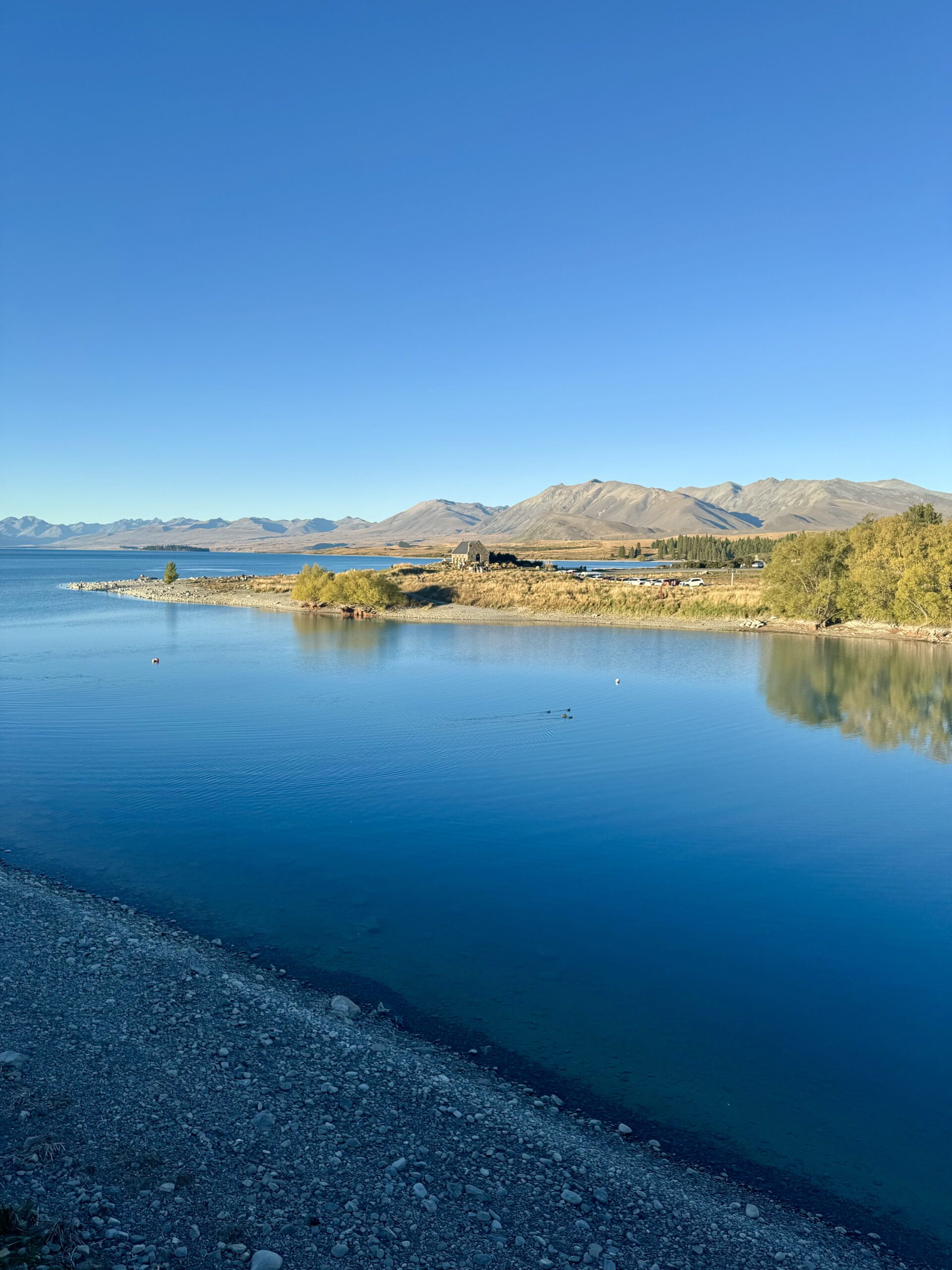 Gallery IMG 8468 1 Scaled